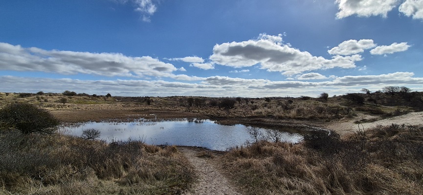 Wandeling over Trage Tocht De Zilk in de Amsterdamse Waterleidingduinen