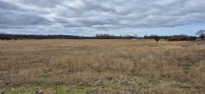 Wandeling over Trage Tocht De Zilk in de Amsterdamse Waterleidingduinen bij het Paardenkerkhof