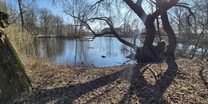 Wandeling over Klompenpad het Holthuyserpad bij landgoed Holthuysen