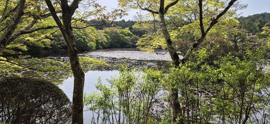 Wandeling in Kyoto naar Gouden Tempel en rotstuin