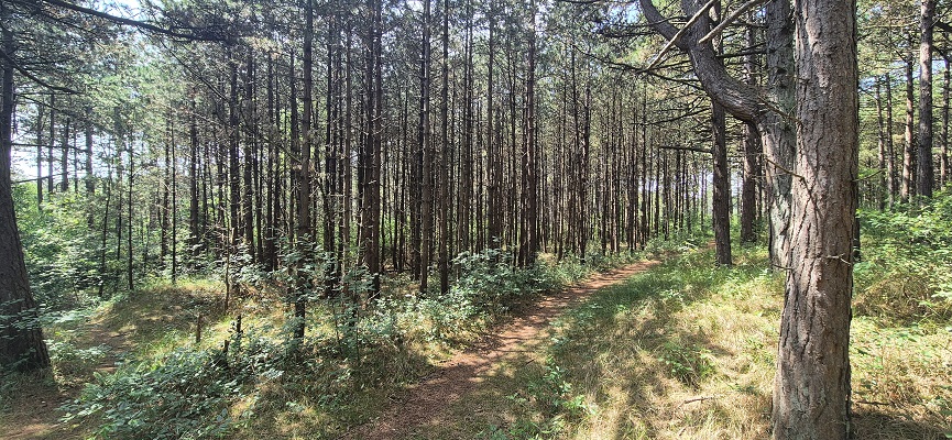 Wandeling over Trage Tocht Terschelling Lies