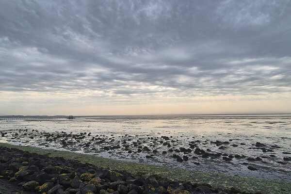 Wandeling over Trage Tocht Terschelling Lies