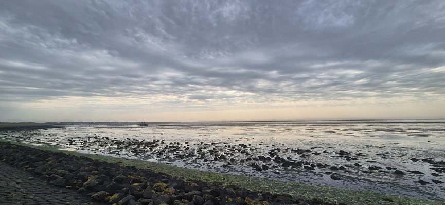 Wandeling over Trage Tocht Terschelling Lies