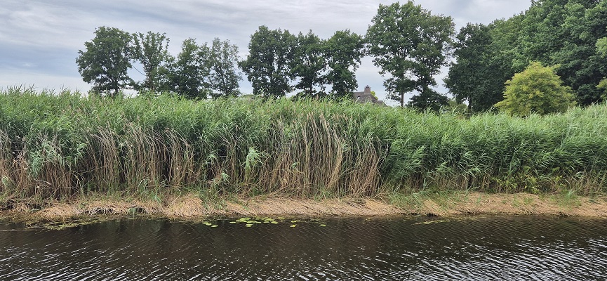 langs-de-brabantse-aa-erp-veghel-12 Wandeling Langs de Brabantse Aa van Erp naar Veghel
