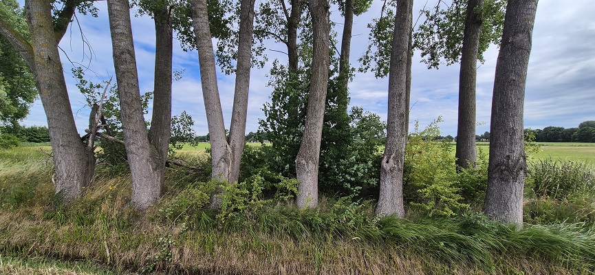 langs-de-brabantse-aa-erp-veghel-25 Wandeling Langs de Brabantse Aa van Erp naar Veghel