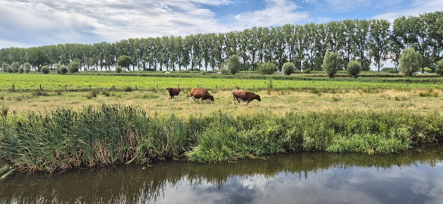 langs-de-brabantse-aa-erp-veghel-26 Wandeling Langs de Brabantse Aa van Erp naar Veghel
