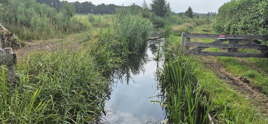 Langs de Brabantse Aa van het Guldenland naar Gemert