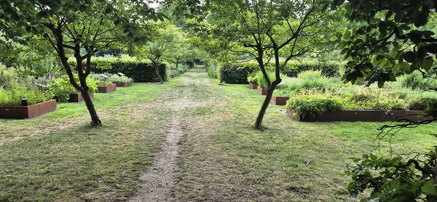 Langs de Brabantse Aa van het Guldenland naar Gemert
