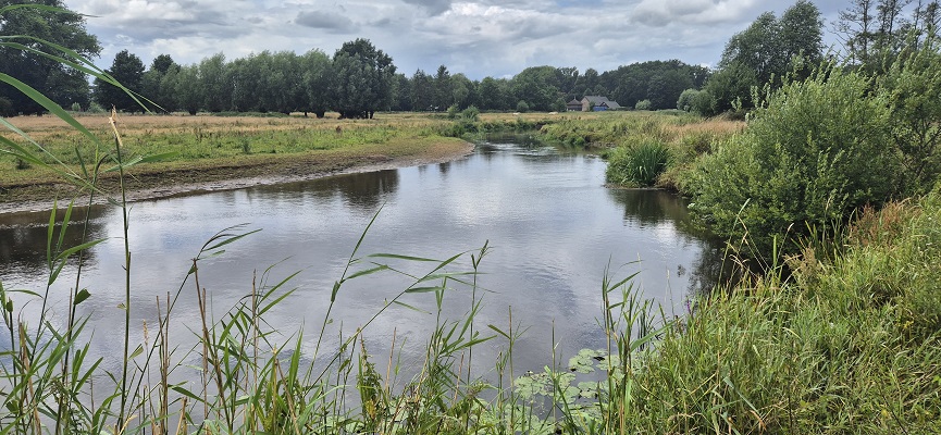Langs de Brabantse Aa van Kasteel Heeswijk naar Kasteel Beekveld in Berlicum