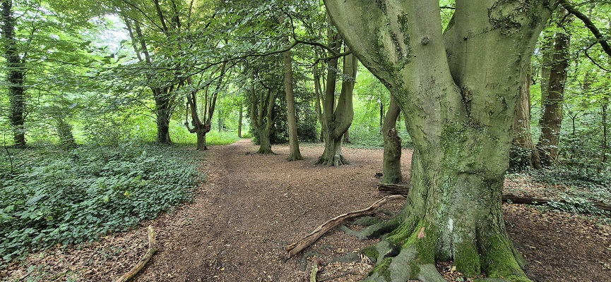 Langs de Brabantse Aa van Kasteel Heeswijk naar Kasteel Beekveld in Berlicum