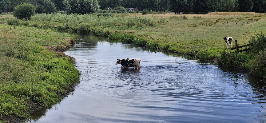 langs-de-brabantse-aa-kasteel-heeswijk-kasteel-beekveld-13 Langs de Brabantse Aa van Kasteel Heeswijk naar Kasteel Beekveld in Berlicum