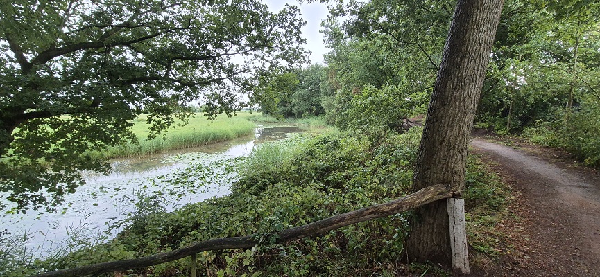 Langs de Brabantse Aa van Kasteel Heeswijk naar Kasteel Beekveld in Berlicum