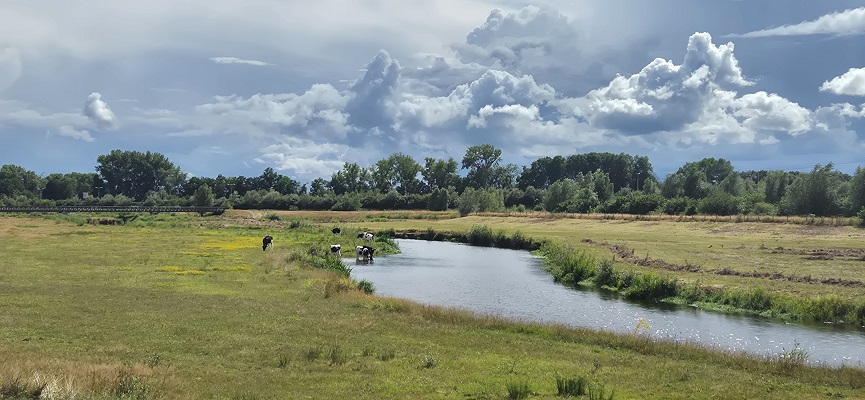langs-de-brabantse-aa-kasteel-heeswijk-kasteel-beekveld-29 Langs de Brabantse Aa van Kasteel Heeswijk naar Kasteel Beekveld in Berlicum