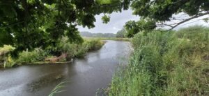 Langs de Brabantse Aa van Kasteel Heeswijk naar Kasteel Beekveld in Berlicum