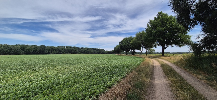 trage-tocht-melick-13 Wandeling Trage Tocht Melick