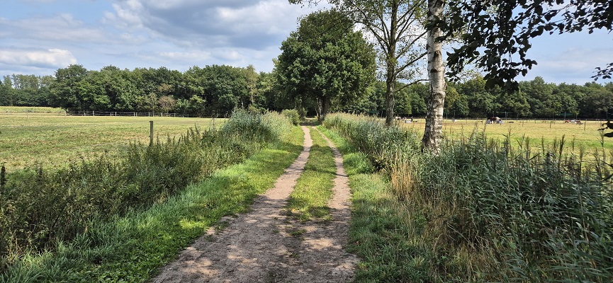 Poëziewandeling Nuenen