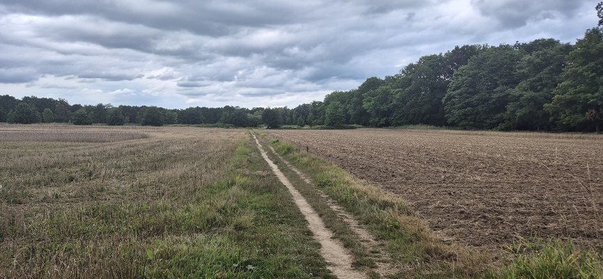 Wandeling over Klompenpad Stoetwegenpad