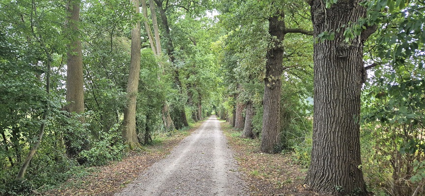 Wandeling over Klompenpad Stoetwegenpad
