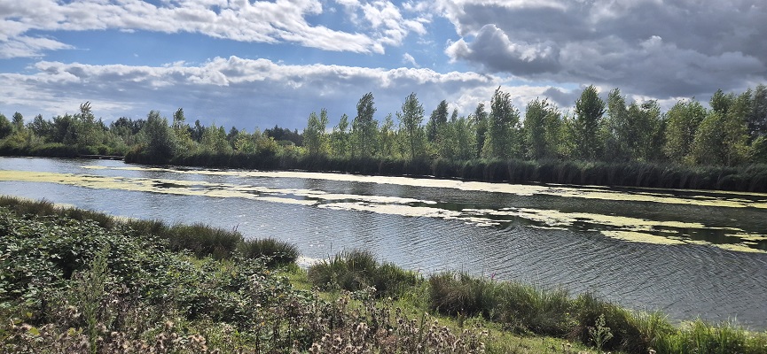 trage-tocht-biesbosch-16 Wandeling over Trage Tocht Brabantse Biesbosch in de Deenepolder