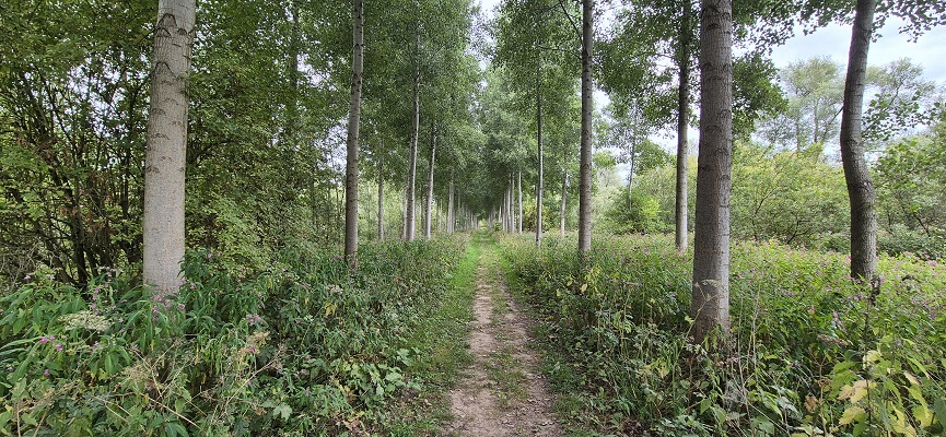 Wandeling over Trage Tocht Brabantse Biesbosch