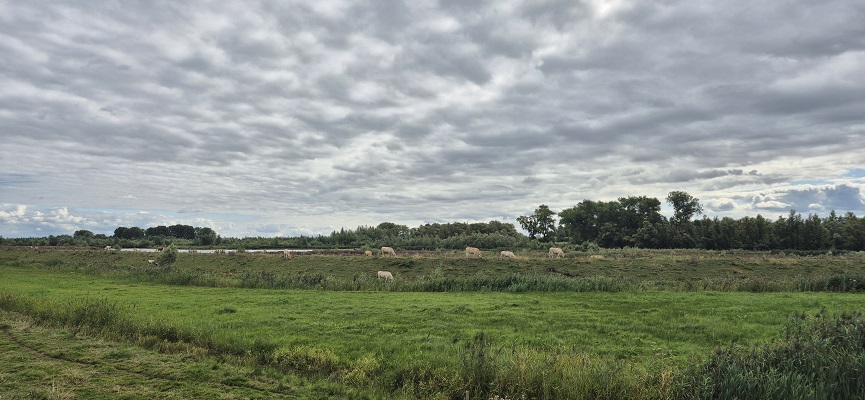 Wandeling over Trage Tocht Brabantse Biesbosch