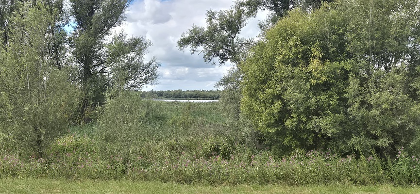 Wandeling over Trage Tocht Brabantse Biesbosch
