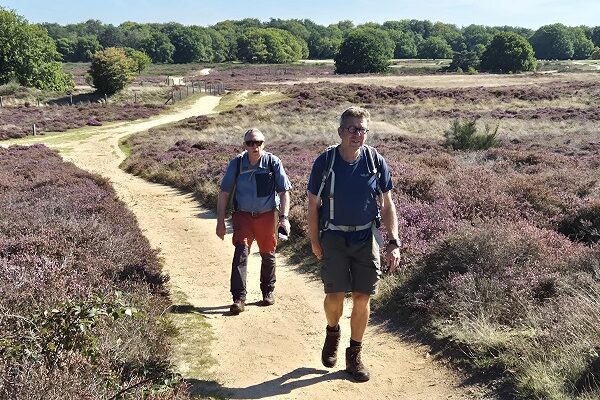 De Traagste Tocht van Bussum naar Naarden op de Tafelbergheide