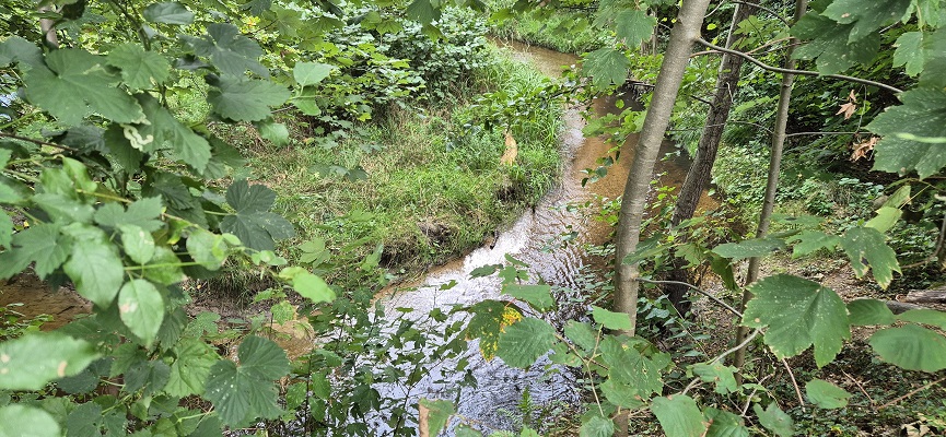 Wandeling over Premium weg Rothenbach bij Rode Beek