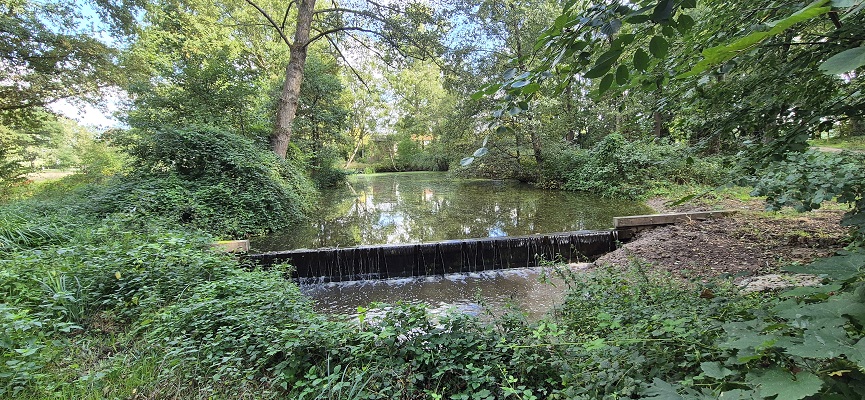 Wandeling over Premium weg Rothenbach bij de Bosbeek bij de Turfkoelen