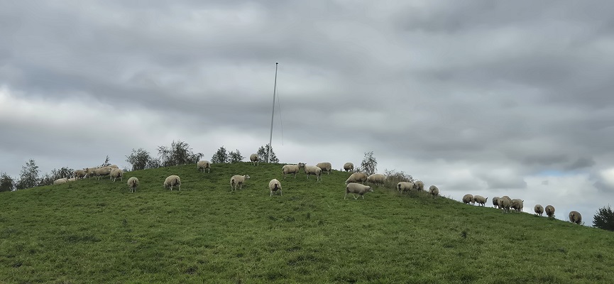 De Traagste Tocht van Naarden naar Muiden in het Naarderbos
