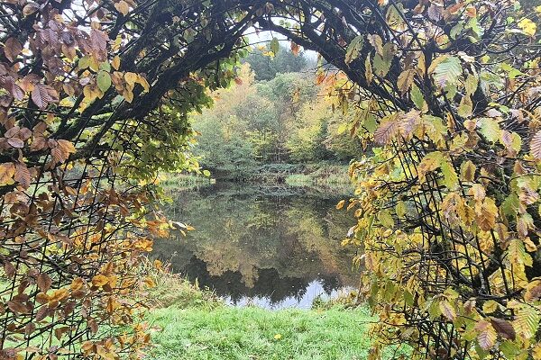Wandeling over Saar-Hunsrück Steig van Mettlach naar Loisheim am See