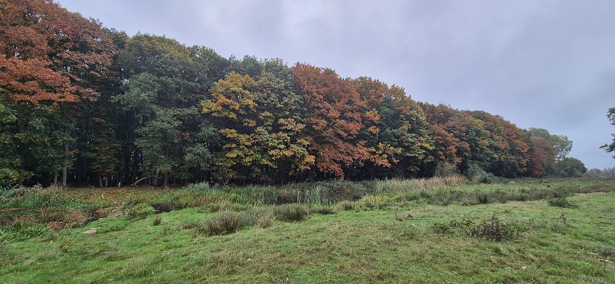 Wandeling over Trage Tocht Egede bij natuurgebied De Velderberg