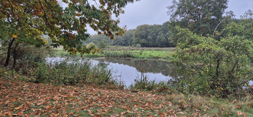Wandeling over Trage Tocht Egede bij natuurgebied De Velderberg