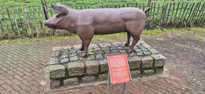 land-van-cuykpad-rondwandeling-oeffelt-18 Rondwandeling over Landwandeling A in Oeffelt over het Land van Cuykpad bij buurtschap Helbroek