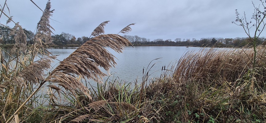 land-van-cuykpad-rondwandeling-oeffelt-22 Rondwandeling over Landwandeling A in Oeffelt over het Land van Cuykpad bij de Grote Vilt