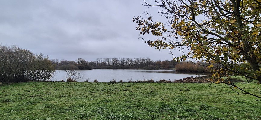 Rondwandeling over Landwandeling A in Oeffelt over het Land van Cuykpad bij de Kleine Vilt