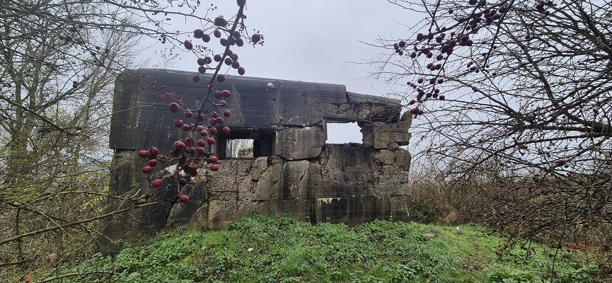 land-van-cuykpad-rondwandeling-oeffelt-9 Rondwandeling over Landwandeling A in Oeffelt over het Land van Cuykpad bij een rivvierkazemat langs de Maas