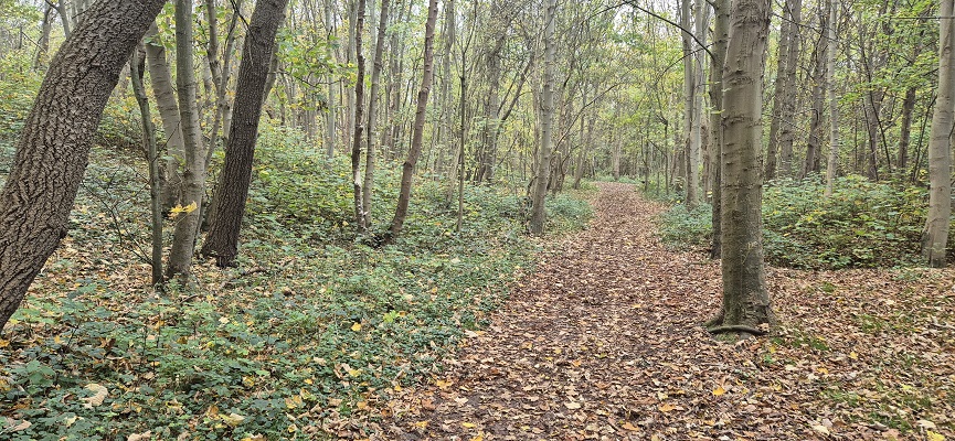 Wandeling over Trage Tocht Domburg bij De Manteling