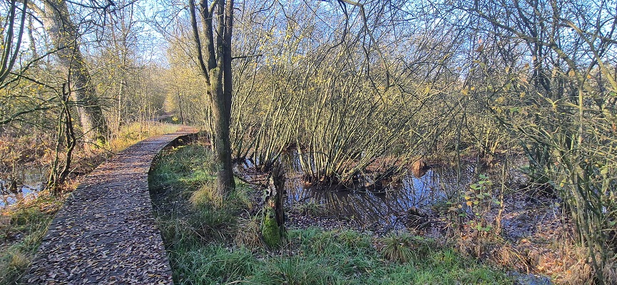 Wandeling over Trage Tocht Soerendonk bij het Buulderbroek