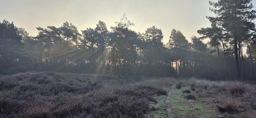 Wandeling over Trage Tocht Soerendonk op de Heide
