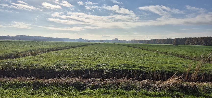 Wandeling over Trage Tocht Utrecht Noorderpark