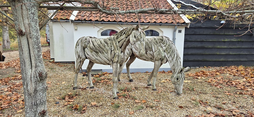 trage-tocht-veere-25 Wandeling over Trage Tocht Veere