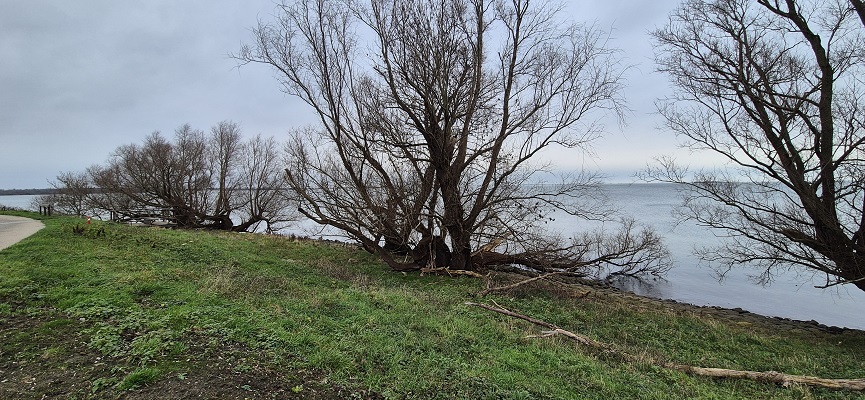 Wandeling over De Traagste Tocht van Muiden naar Amsterdam Science Park