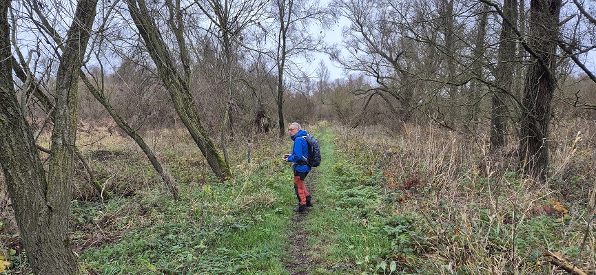 Wandeling over De Traagste Tocht van Muiden naar Amsterdam Science Park op de Diemer Vijfhoek