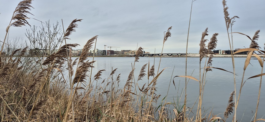 Wandeling over De Traagste Tocht van Muiden naar Amsterdam Science Park op de Diemer Vijfhoek