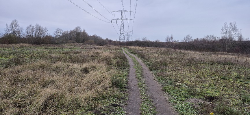 Wandeling over De Traagste Tocht van Muiden naar Amsterdam Science Park in het Diemerpark