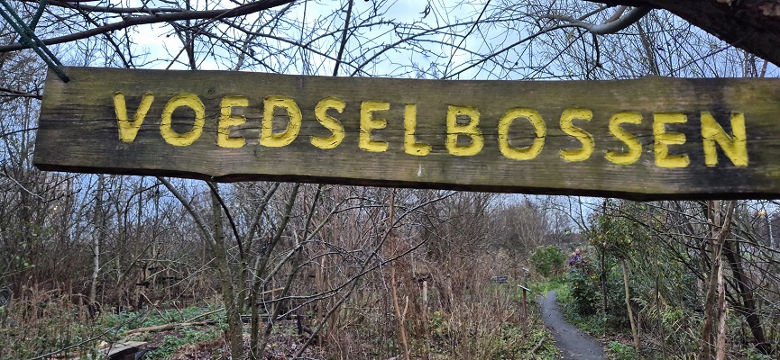 Wandeling over De Traagste Tocht van Muiden naar Amsterdam Science Park bij Anna's Tuin en Ruigte