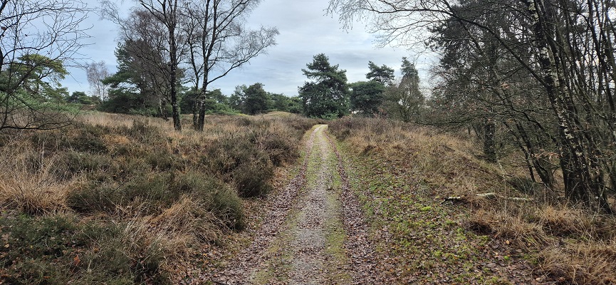knopenrondje-nieuw-bergen-10 Wandeling over Knopenrondje Nieuw-Bergen
