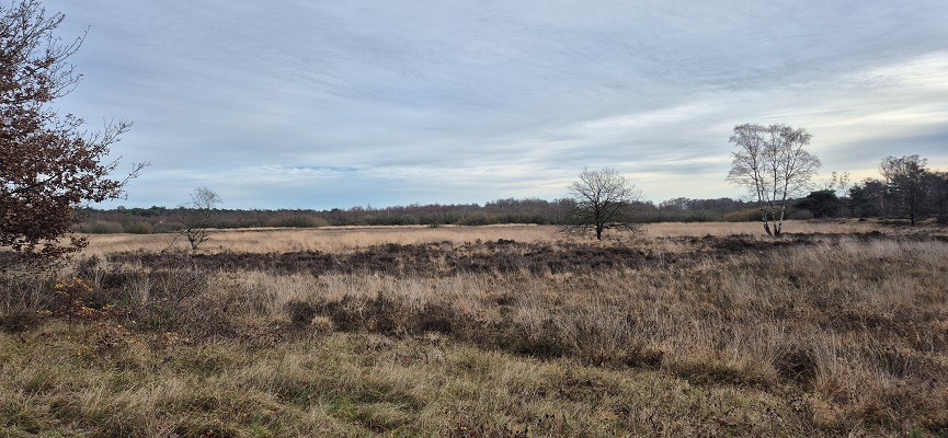 Wandeling over Knopenrondje Nieuw-Bergen