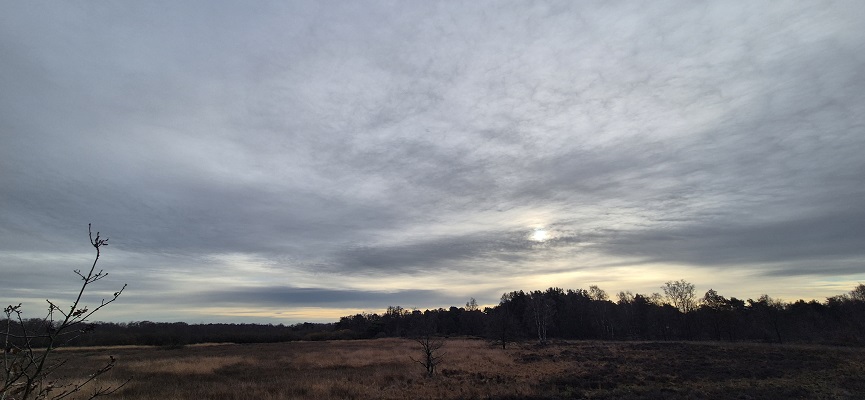 knopenrondje-nieuw-bergen-3 Wandeling over Knopenrondje Nieuw-Bergen